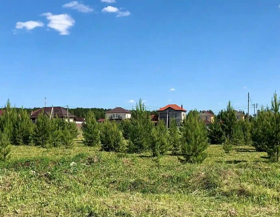 Рассоха парк