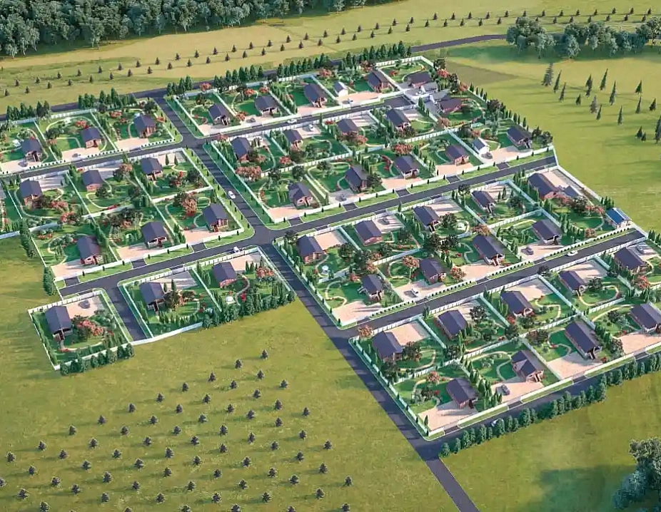 Березовая роща