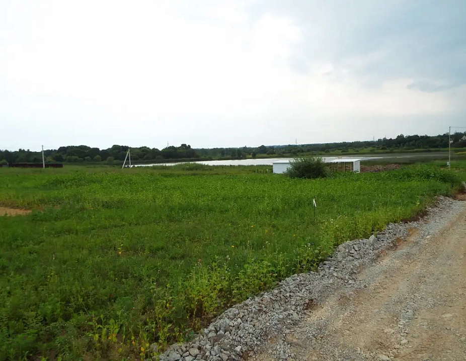 Солнечная поляна