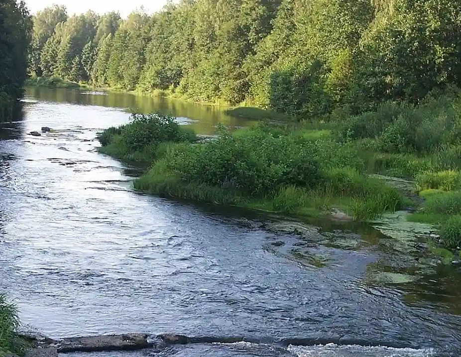 Новые Черёмушки